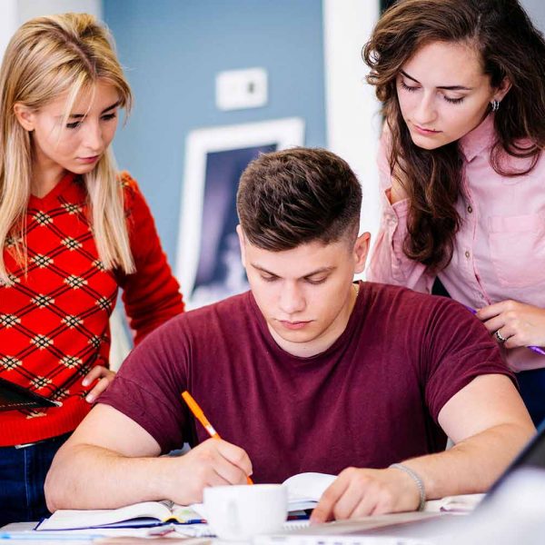 Complete Blender Creator Learn 3D Modelling Gauteng Schooling